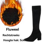 Dames Elegante Laarzen Imitatieleer | Laarzen Damesschoenen Dames